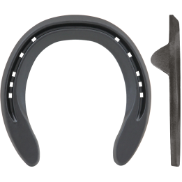 TRIUMPH MOTION ANTERIORE 2 CLIPS