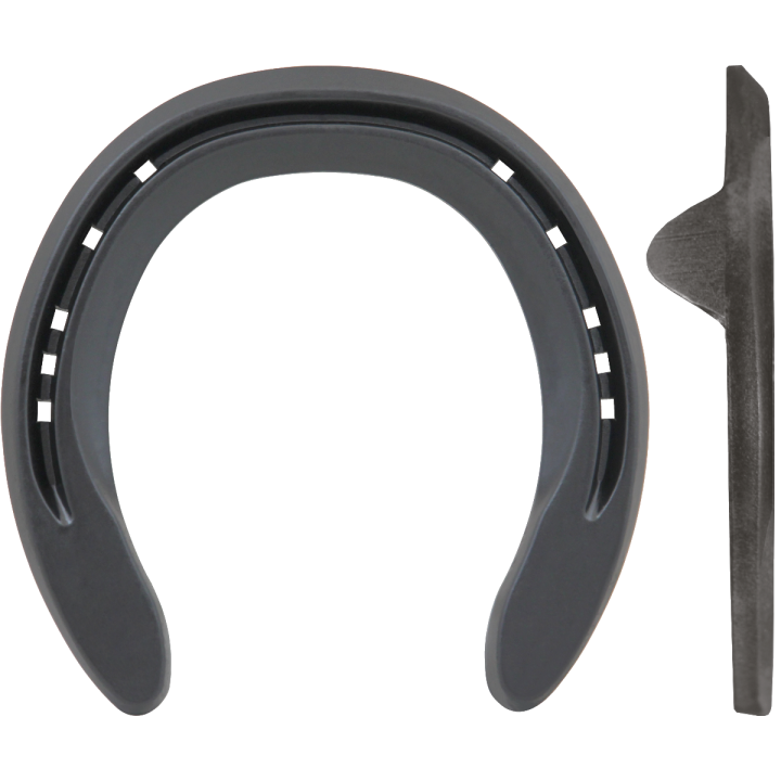 TRIUMPH MOTION ANTERIORE 2 CLIPS