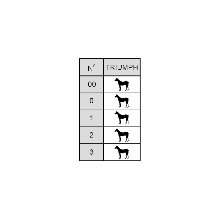 TRIUMPH MOTION ANTERIORE 2 CLIPS