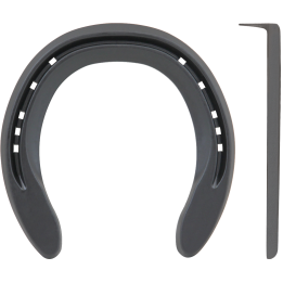 TRIUMPH MOTION ANTERIORE 1 CLIP