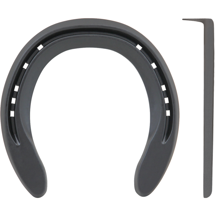 TRIUMPH MOTION ANTERIORE 1 CLIP