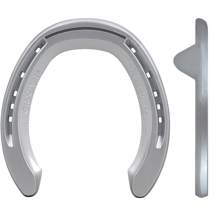 CENTURY SUPPORT CON SALVAPUNTA POSTERIORE 2 CLIPS
