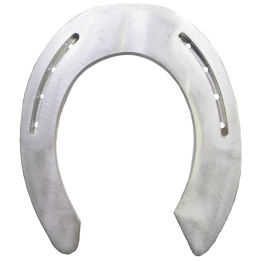 FERRO SPAVENIO FORMA OVALE ANT-POS NO CLIPS
