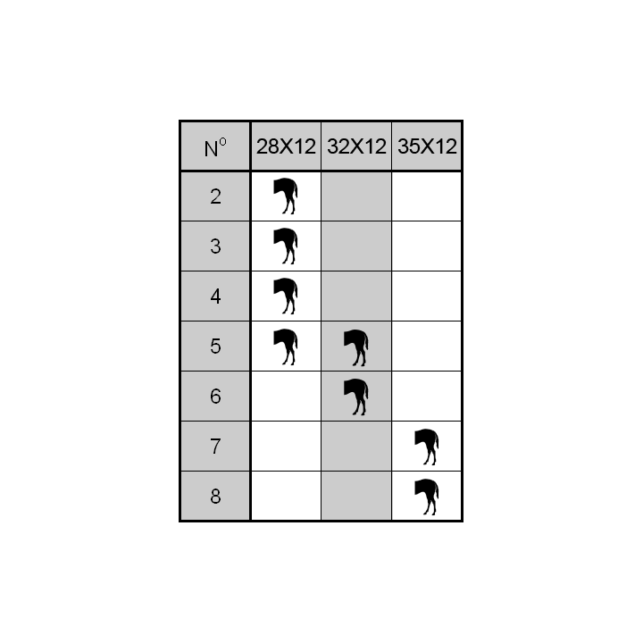 WH POSTERIORE 2 CLIPS