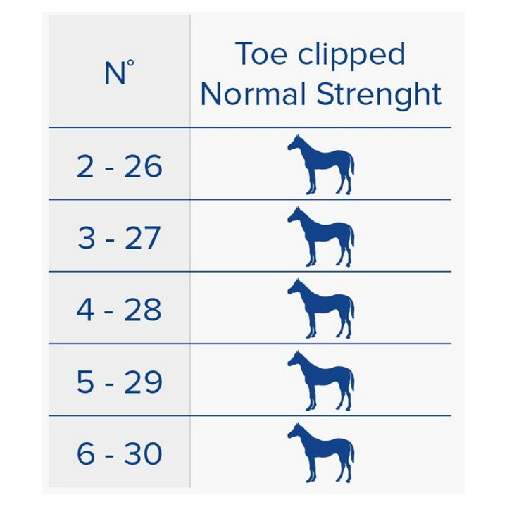 KING PLATE NORMAL STRENGHT ANTERIORE 1 CLIP