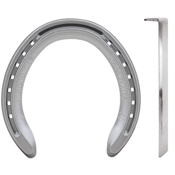 KING PLATE NORMAL STRENGHT POSTERIORE 1 CLIP