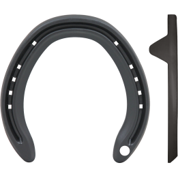 STEEL KINGS POLO POSTERIORE 2 CLIPS