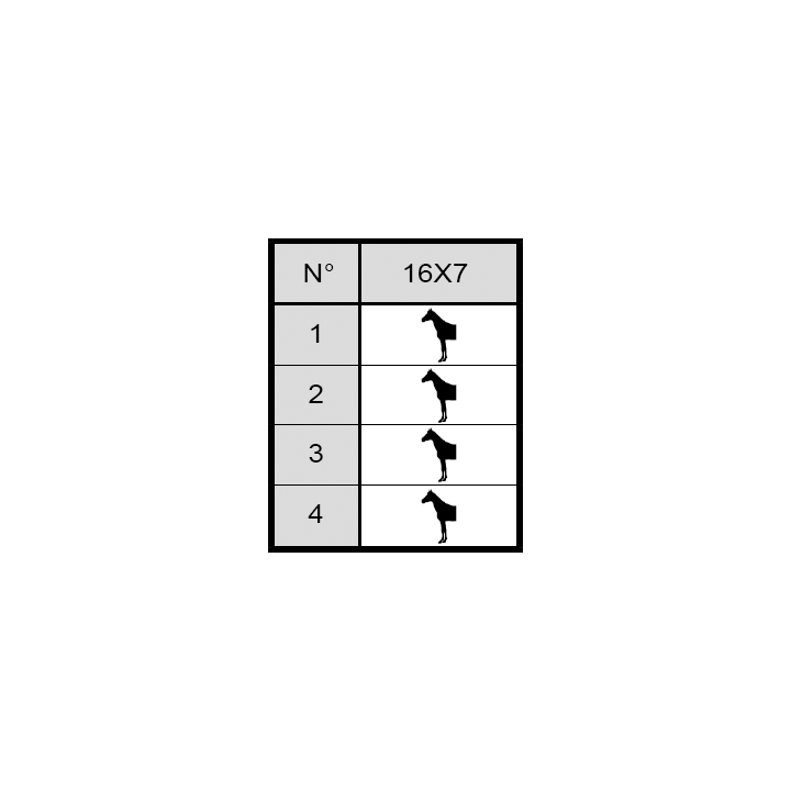 LEGEND HALF ROUND ANTERIORE 1 CLIP