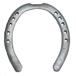 HALF OVAL ANTERIORE 1 CLIP