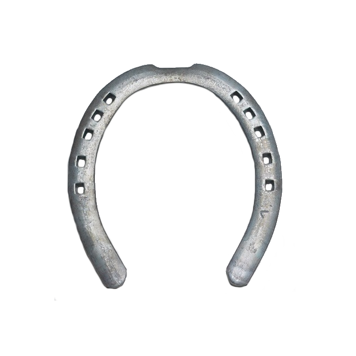 HALF OVAL ANTERIORE 1 CLIP