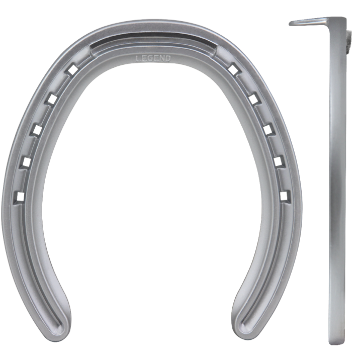 ALU LEGEND RIM XT RIGATO CON SALVAPUNTA POSTERIORE 1 CLIP