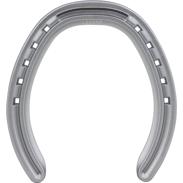 ALU LEGEND RIM XT RIGATO CON SALVAPUNTA POSTERIORE 1 CLIP
