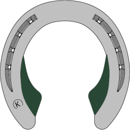 A SALDARE SOI PER CIPOLLE